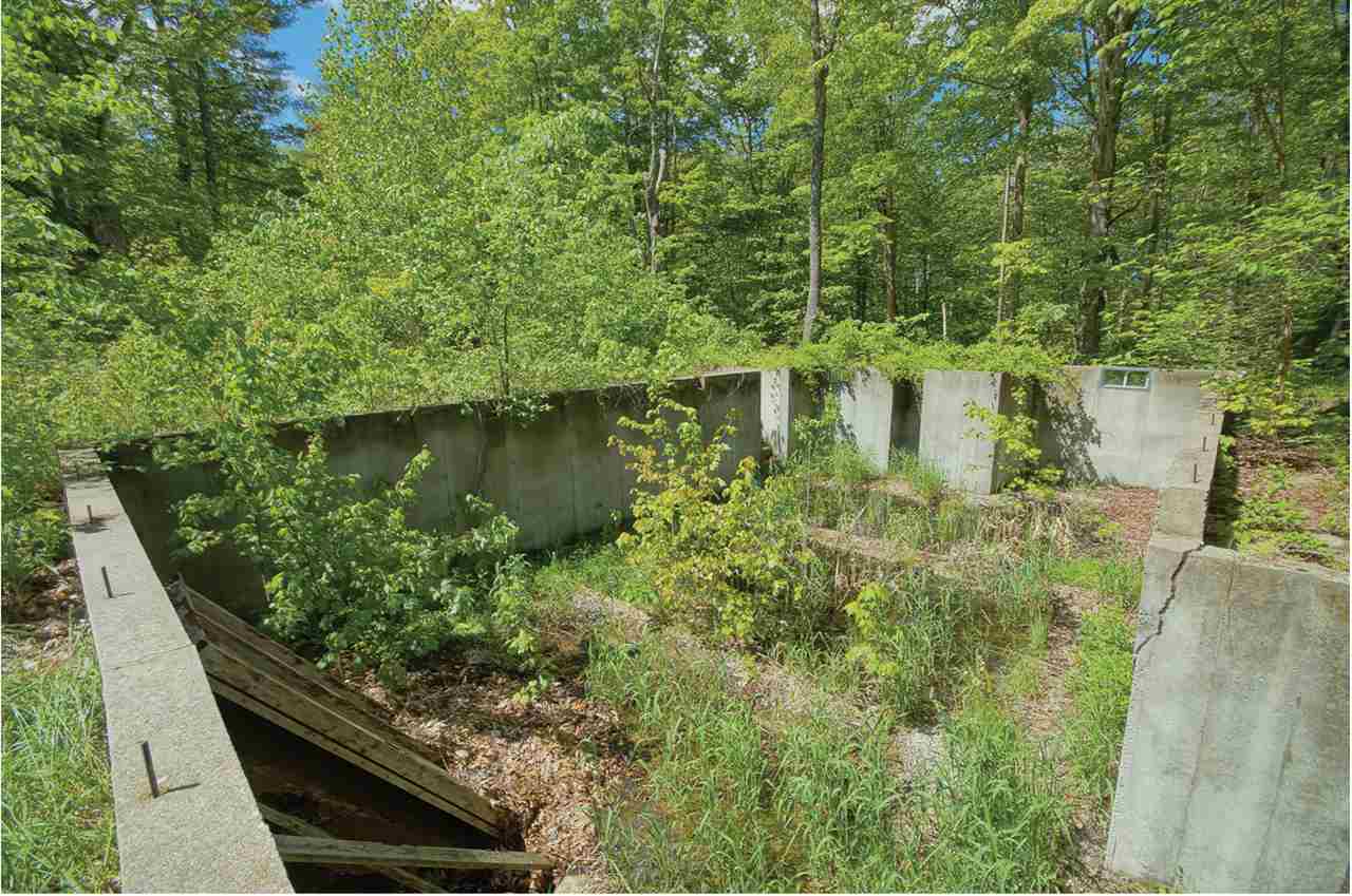 669 Candia Road Chester, NH 03036 - Photo 9 of 26