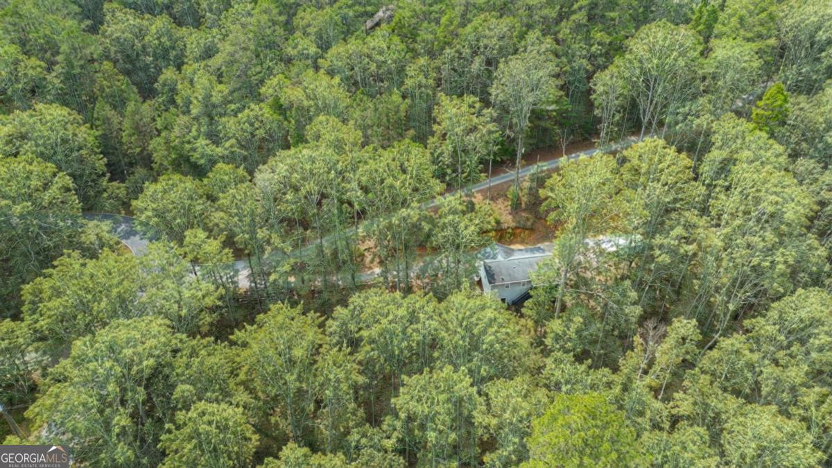 30 Chancel Circle, Unit 654R Ellijay, GA 30540 - Photo 15 of 44 a aerial view of a house with a yard