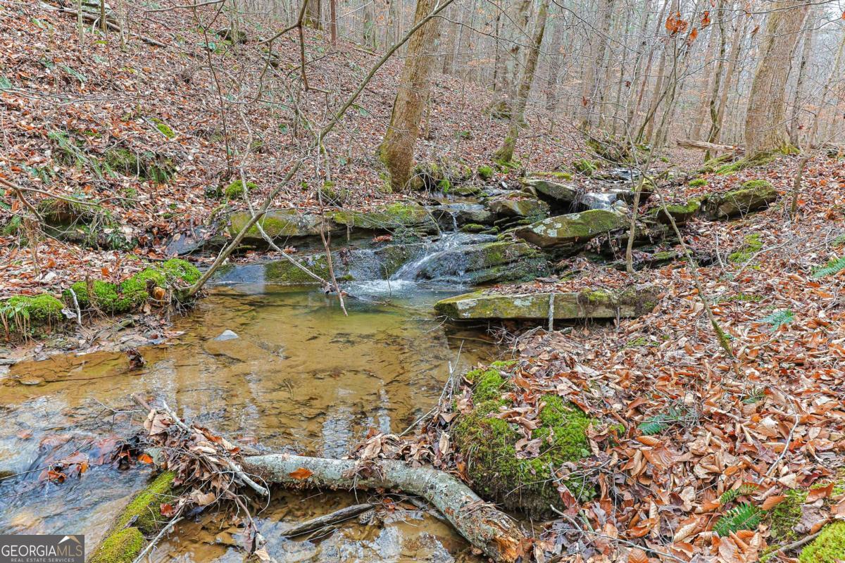 30 Chancel Circle, Unit 654R Ellijay, GA 30540 - Photo 18 of 44 a view of swimming pool with lawn chairs and plants