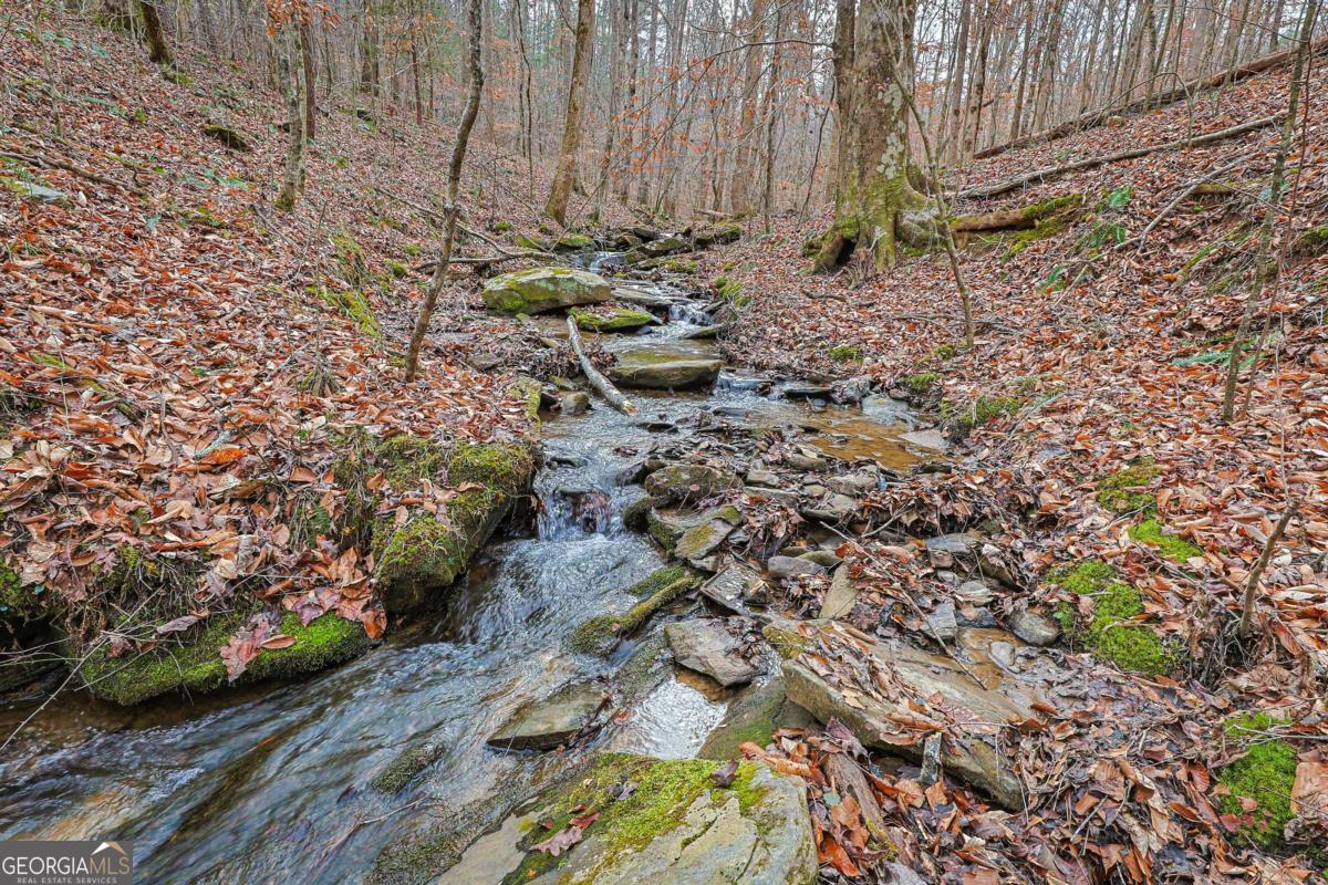 30 Chancel Circle, Unit 654R Ellijay, GA 30540 - Photo 19 of 44 a view of a backyard of the house