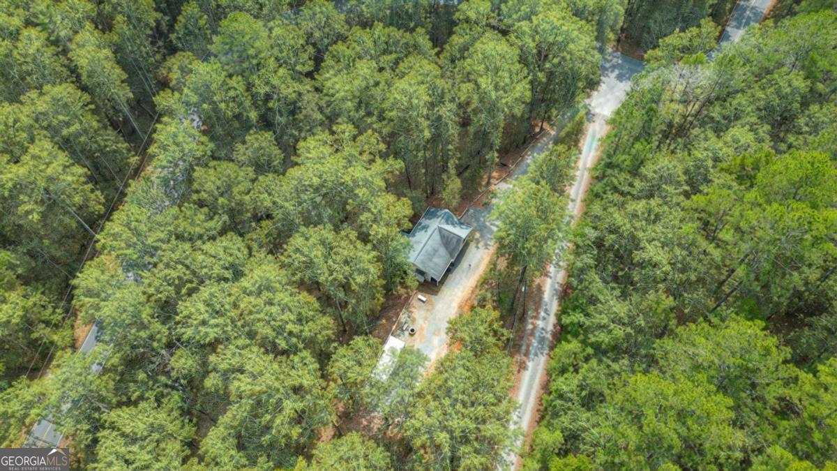 30 Chancel Circle, Unit 654R Ellijay, GA 30540 - Photo 2 of 44 a view of a forest with a tree