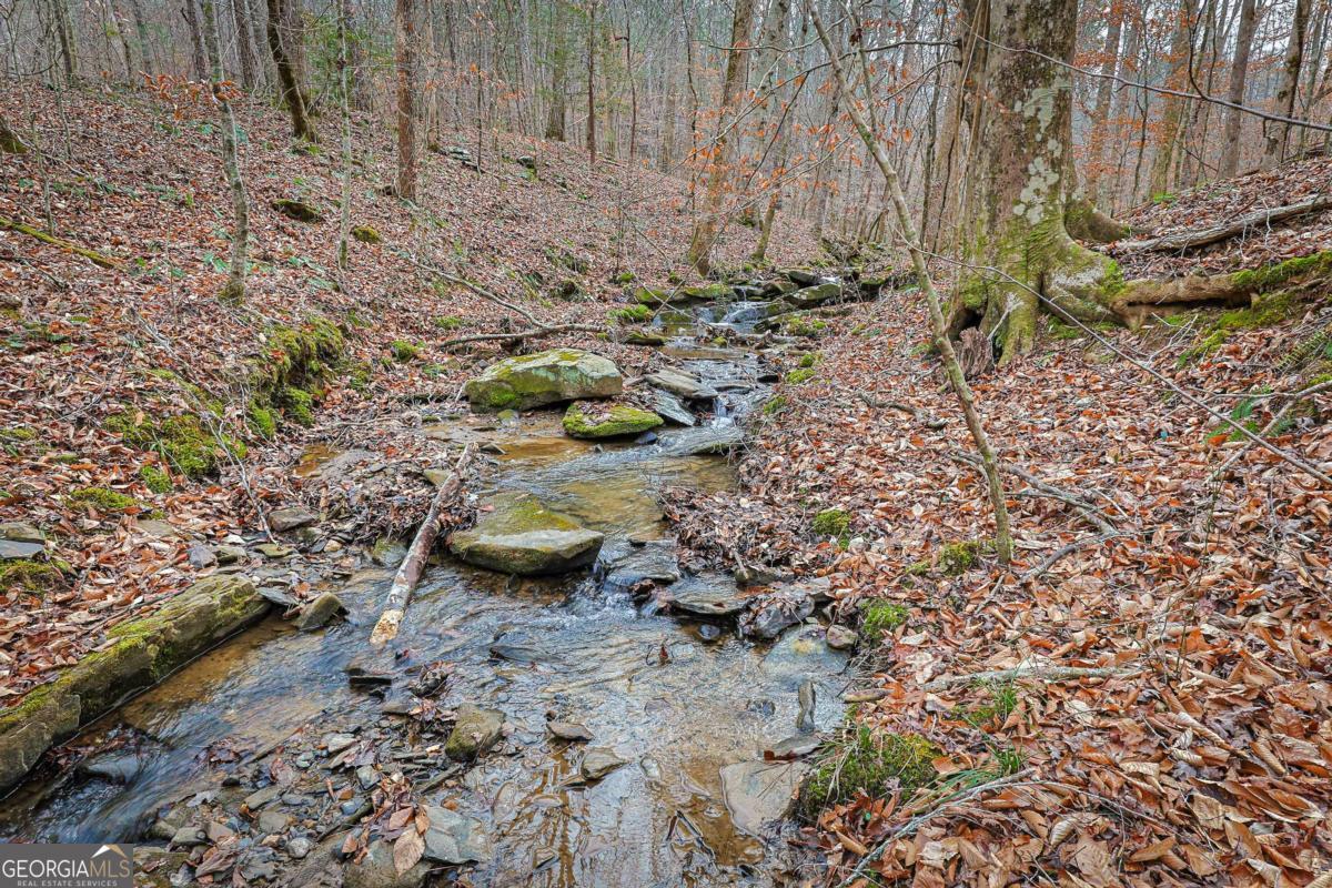 30 Chancel Circle, Unit 654R Ellijay, GA 30540 - Photo 27 of 44 a view of a fire pit with large tree