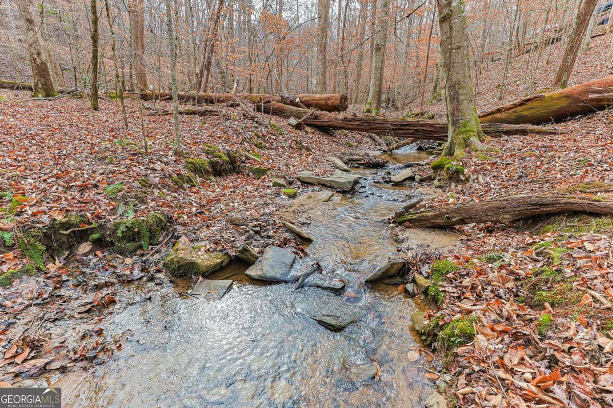 30 Chancel Circle, Unit 654R Ellijay, GA 30540 - Photo 3 of 44 a view of a backyard with wooden fence
