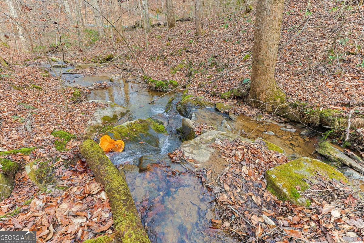 30 Chancel Circle, Unit 654R Ellijay, GA 30540 - Photo 38 of 44 a view of bathtub