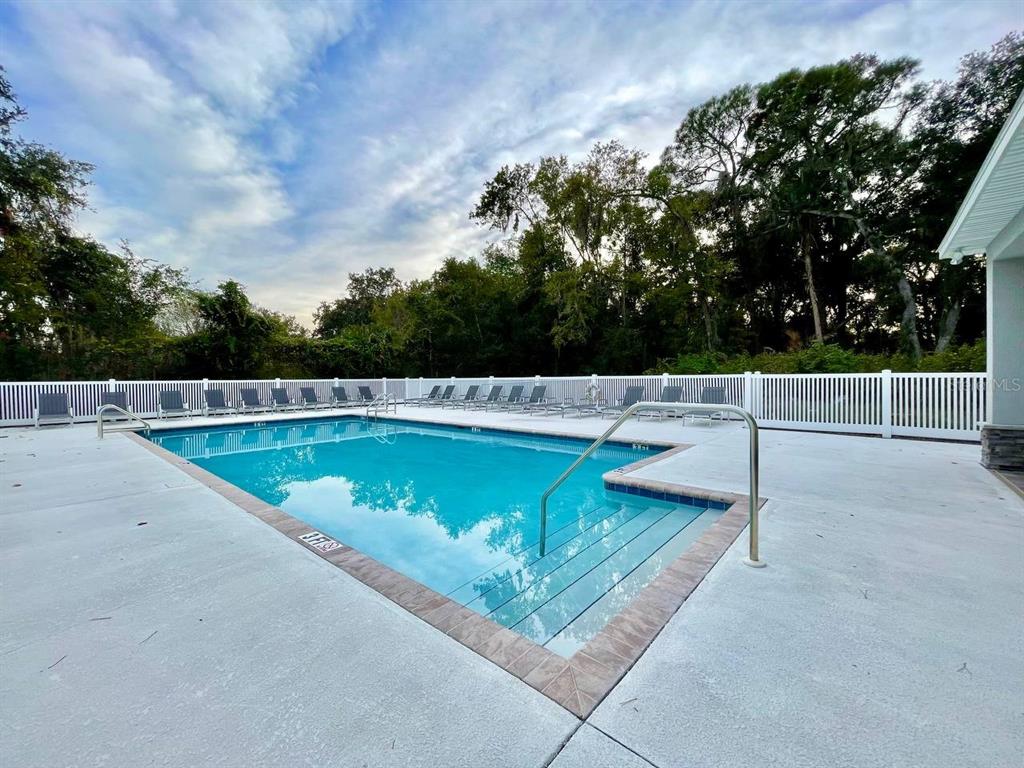 9689 Sweetwell Place Riverview, FL 33569 - Photo 30 of 33 a view of a swimming pool with a yard