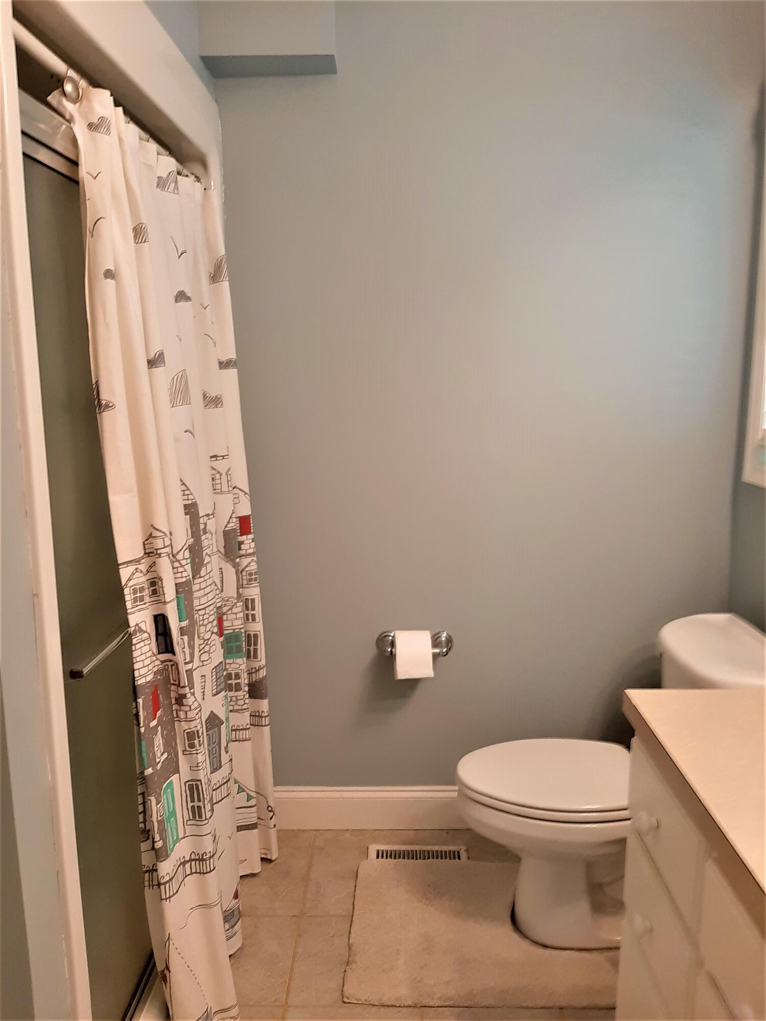 334 Overton Road Santee, SC 29142 - Photo 12 of 19 Master bath shower