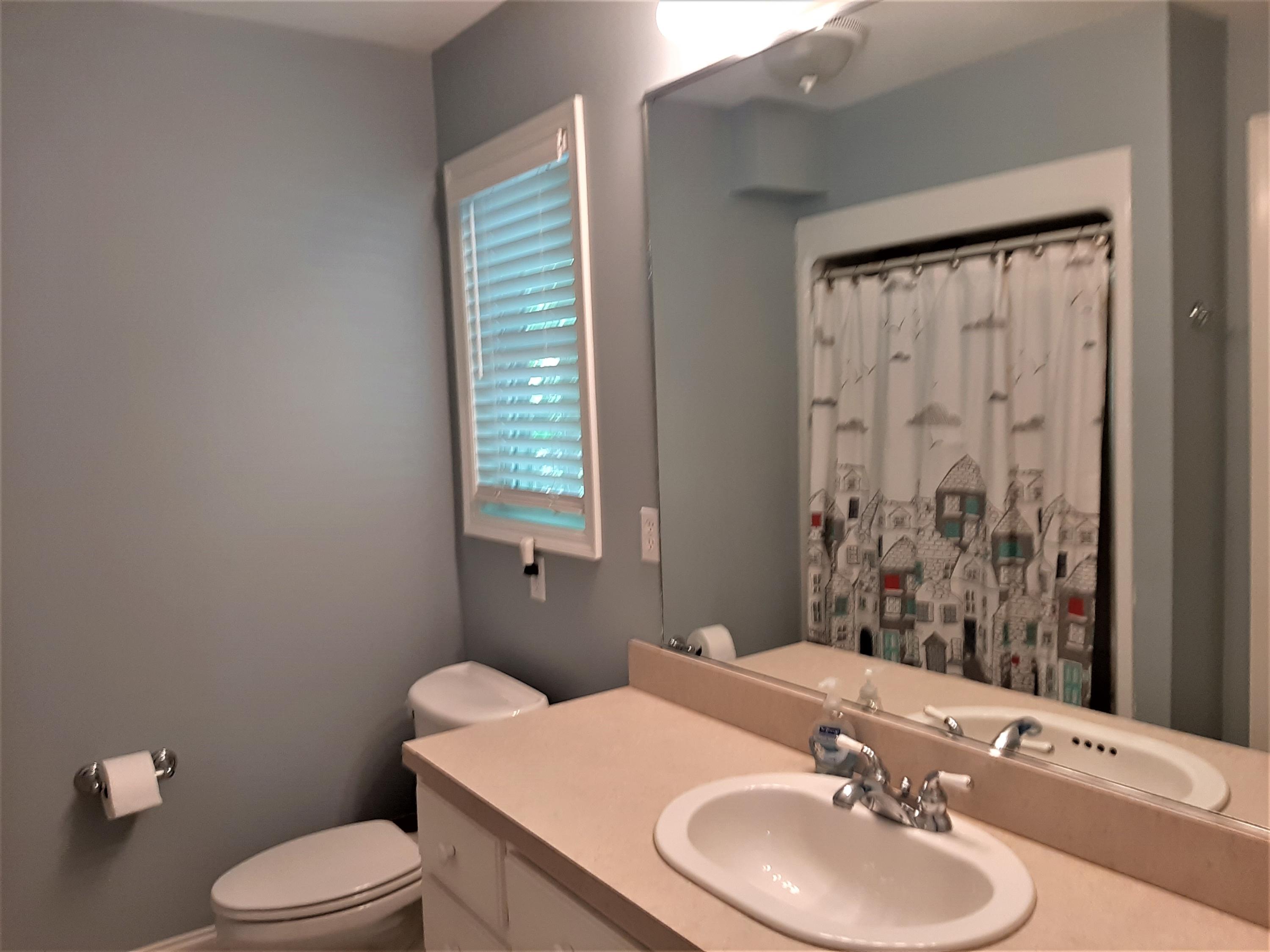 334 Overton Road Santee, SC 29142 - Photo 13 of 19 Master bath vanity