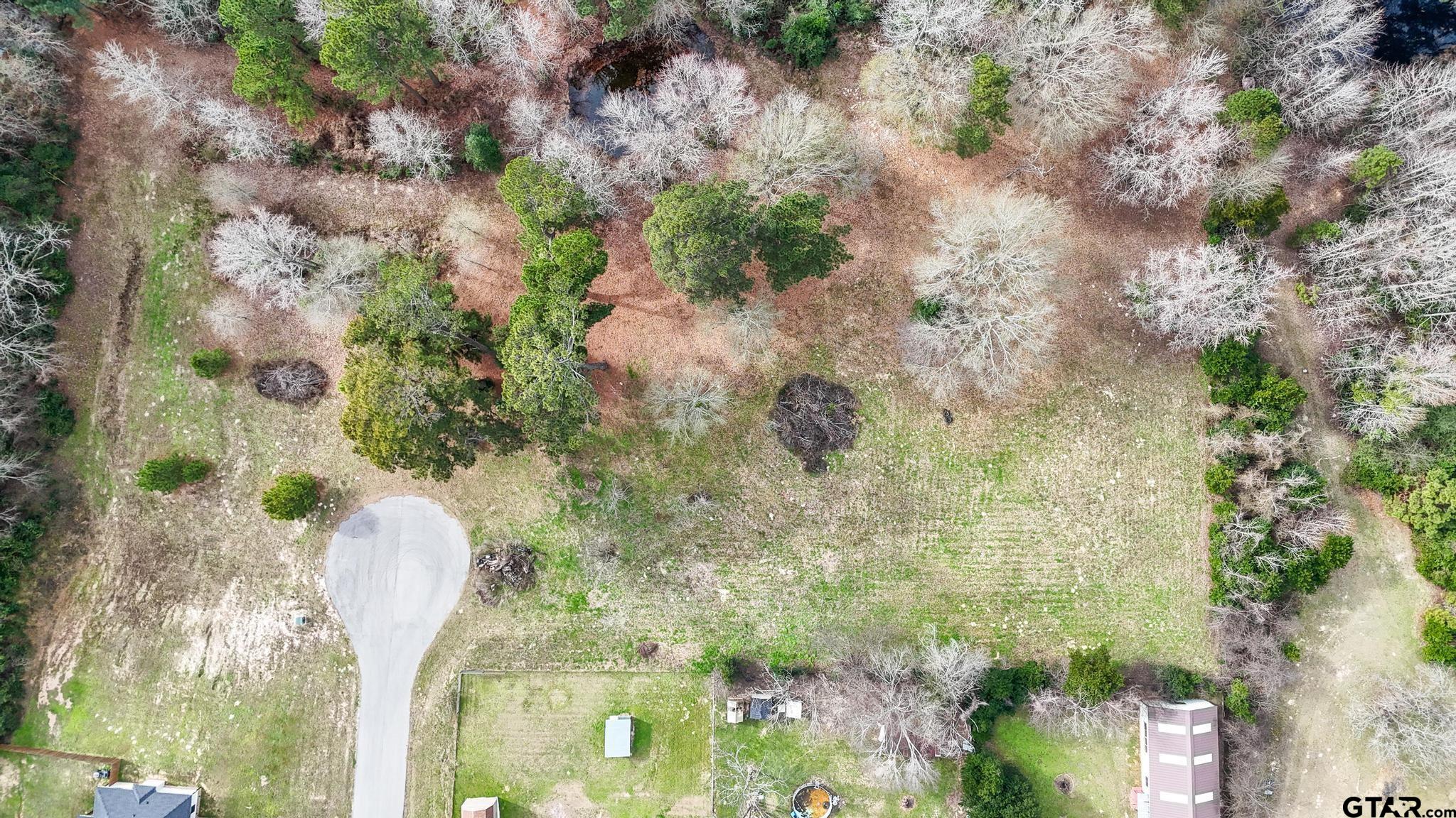 Tbd Tbd Castleberry Road Brownsboro, TX 75756 - Photo 5 of 7 a picture of a tree