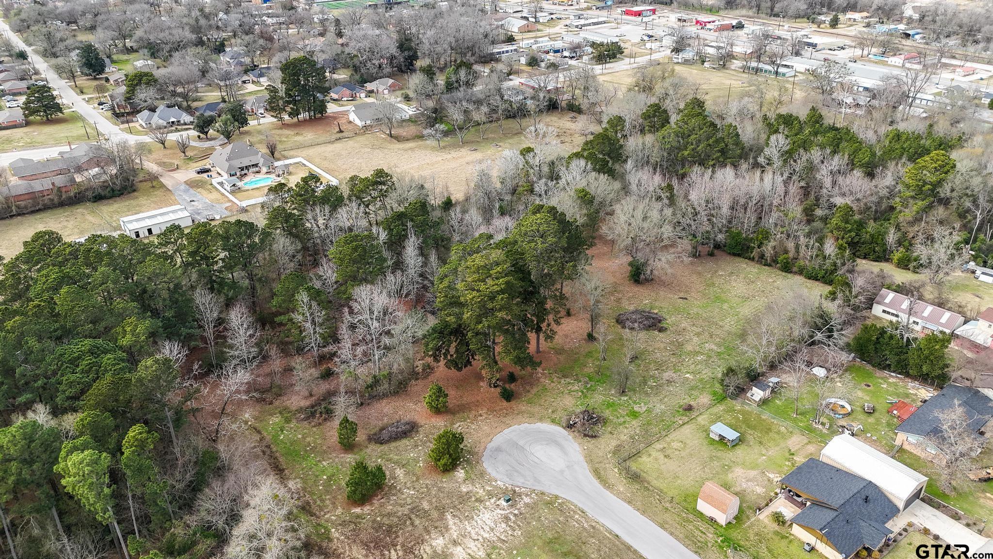 Tbd Tbd Castleberry Road Brownsboro, TX 75756 - Photo 6 of 7 a view of a yard with pathway