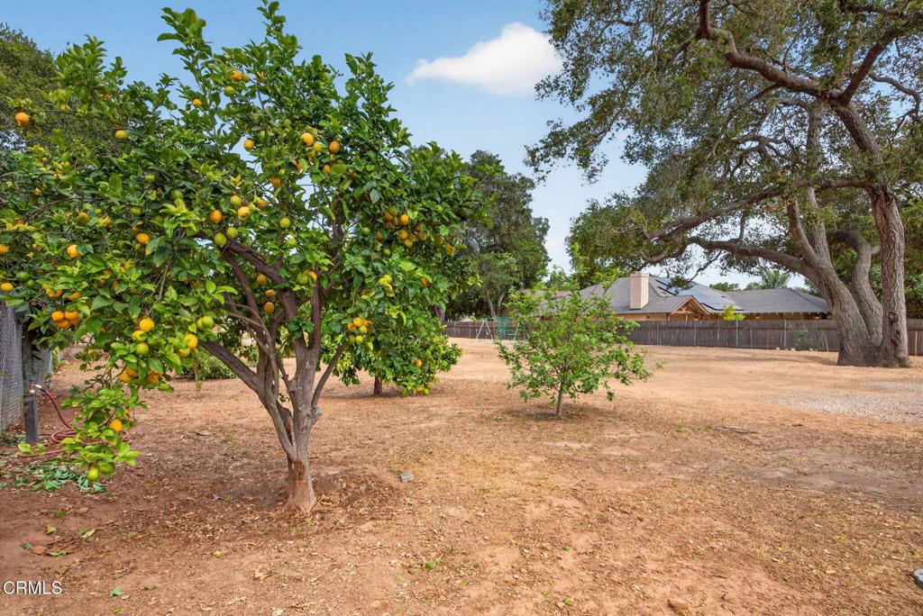1186 South Rice Road Ojai, CA 93023 - Photo 47 of 66