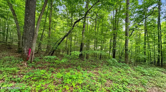 $112,900 | Lot 1 Graves Hollow Road, Maynardville, TN 37807