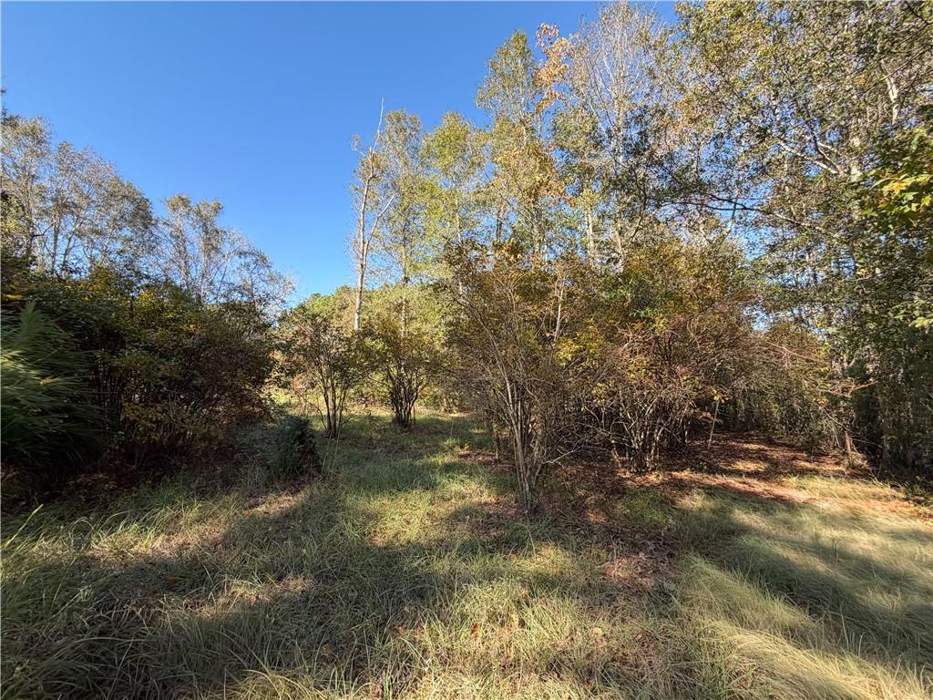55174 Hano Road Independence, LA 70443 - Photo 24 of 27 Gallery Image 24