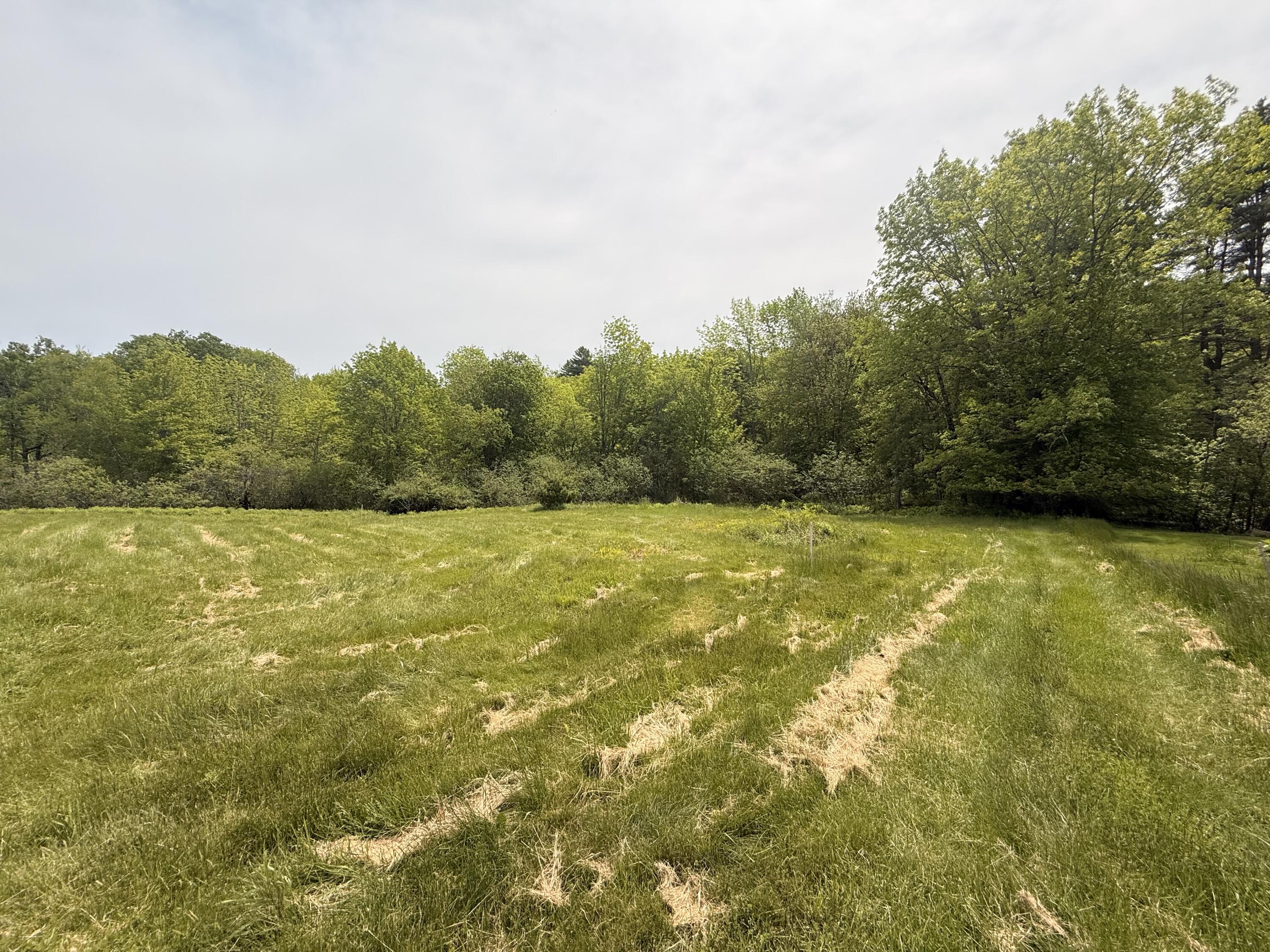 Lot 14 Beach Road Lincolnville, ME 04849 - Photo 7 of 14 IMG_0616