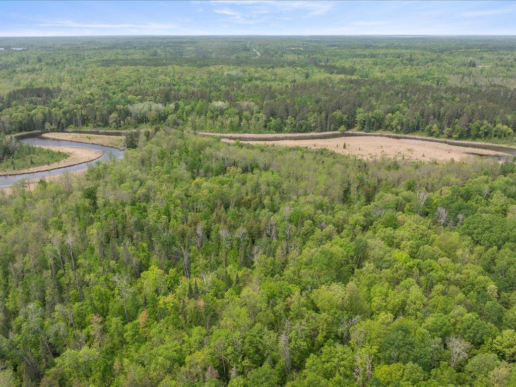 3365 Highway 200 Remer, MN 56672 - Photo 51 of 53