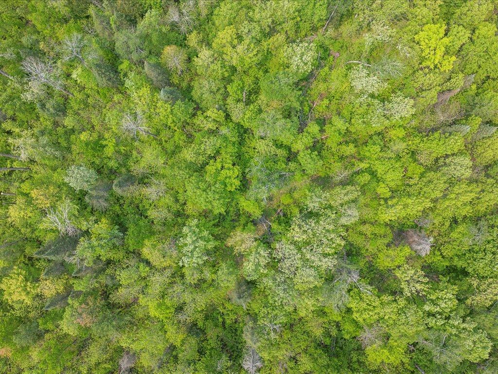 3365 Highway 200 Remer, MN 56672 - Photo 52 of 53