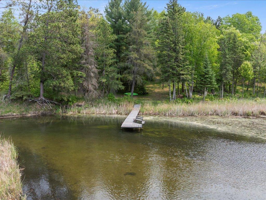 3365 Highway 200 Remer, MN 56672 - Photo 6 of 53