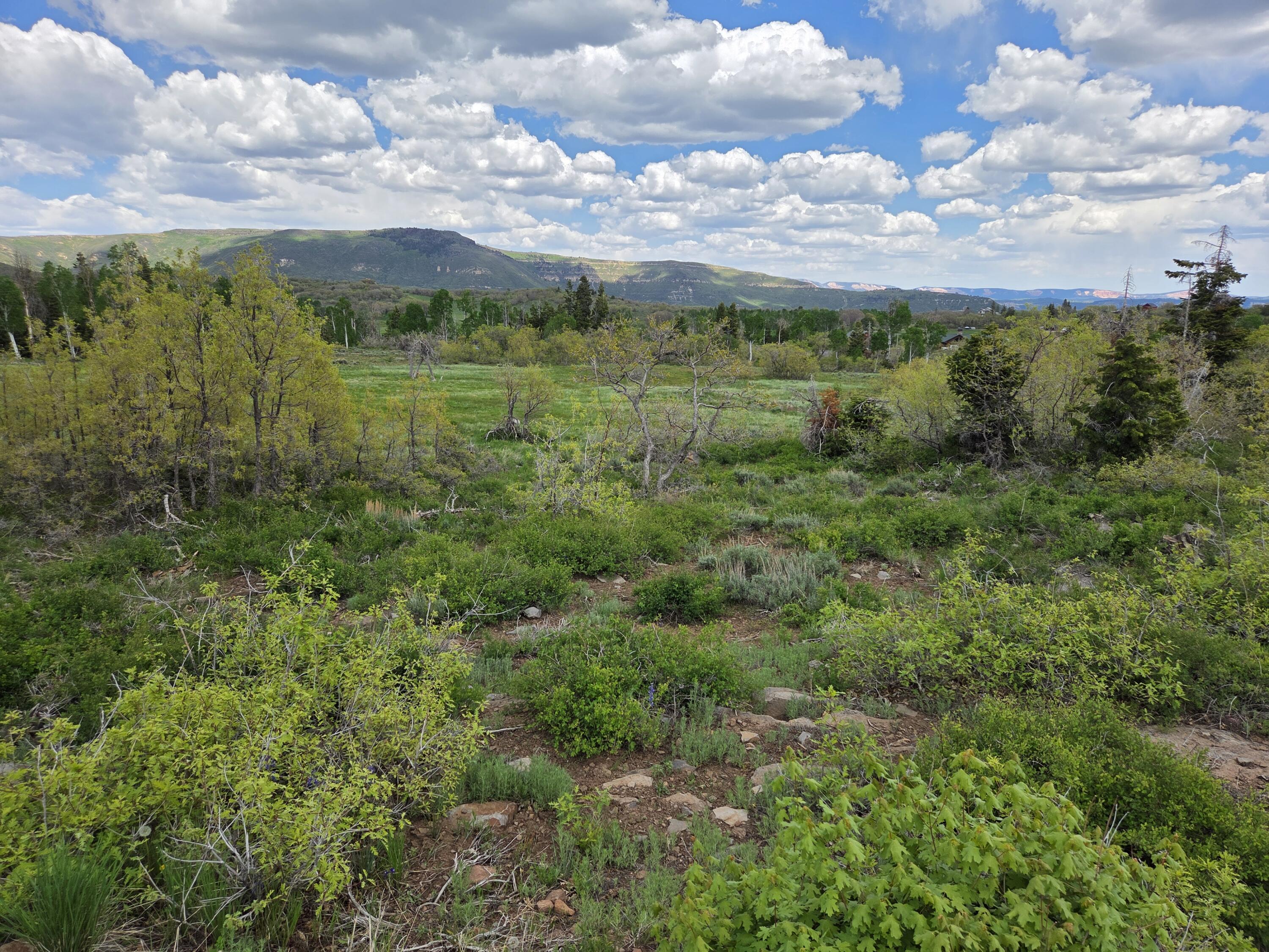 Lot 10 Spring Drive, Unit 10 Springdale, UT 84767 - Photo 16 of 18 1000006208