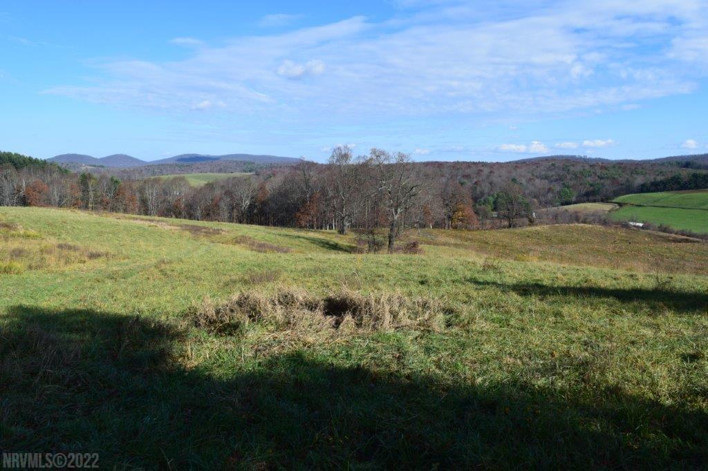 Tbd Spring Dale Road Southwest Floyd, VA 24091 - Photo 12 of 44 Gallery Image 12