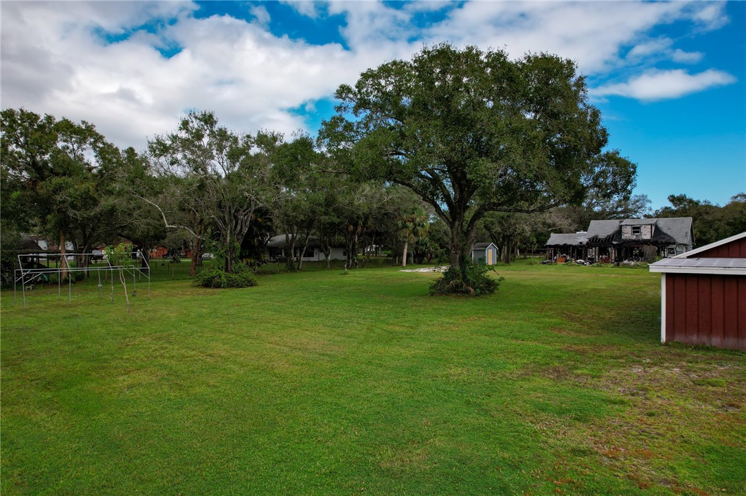 4761 Jorgensen Road Fort Pierce, FL 34981 - Photo 21 of 26 a view of a tree in a yard