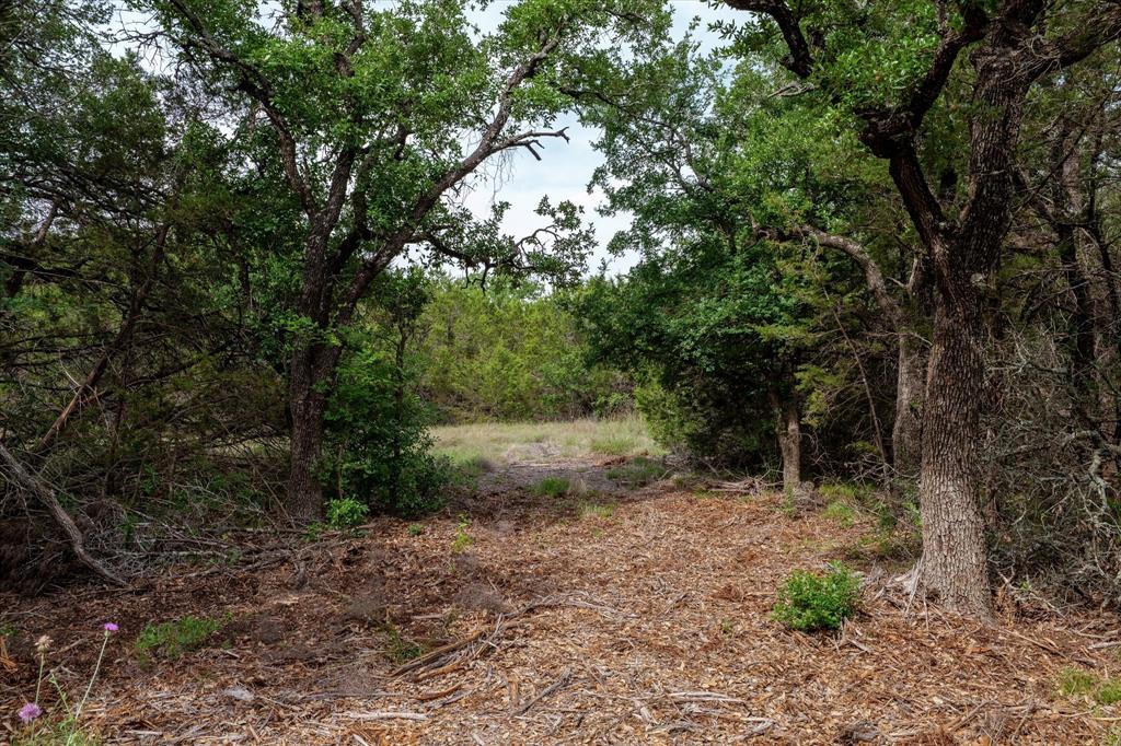 Mustang-a Mustang Road Purmela, TX 76566 - Photo 10 of 18 a view of a forest