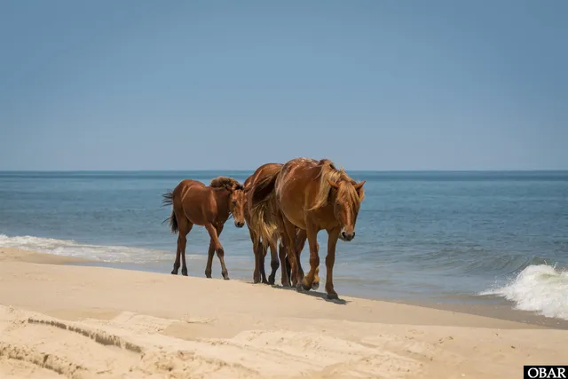$1,695,000 | 1937 Sandfiddler Road, Corolla, NC 27927