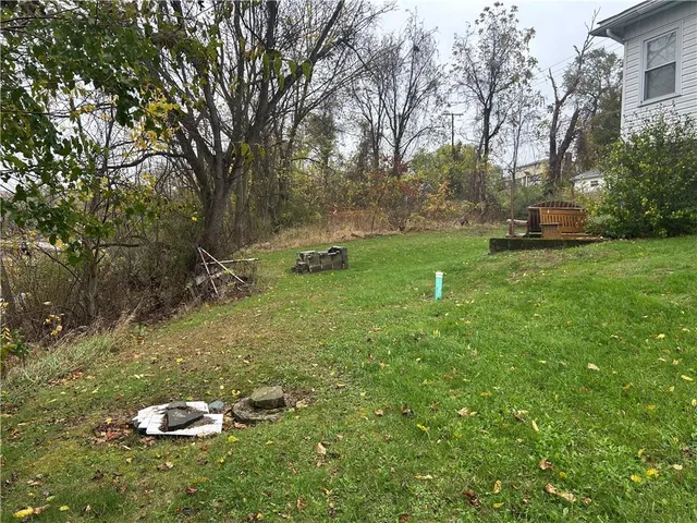 a backyard of a house with lots of green space