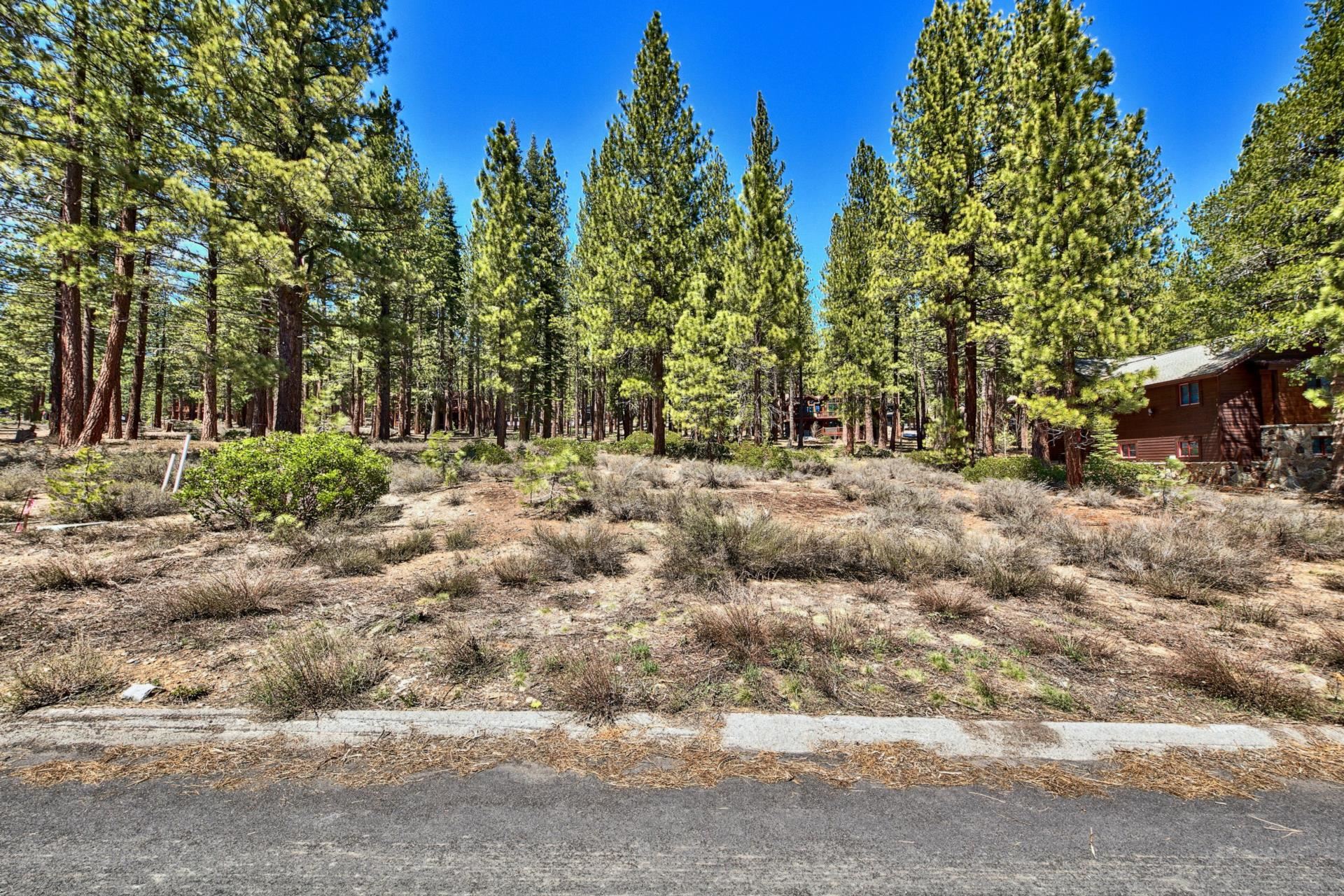 11564 Kelley Drive Truckee, CA 96161 - Photo 1 of 17 a view of a yard with trees