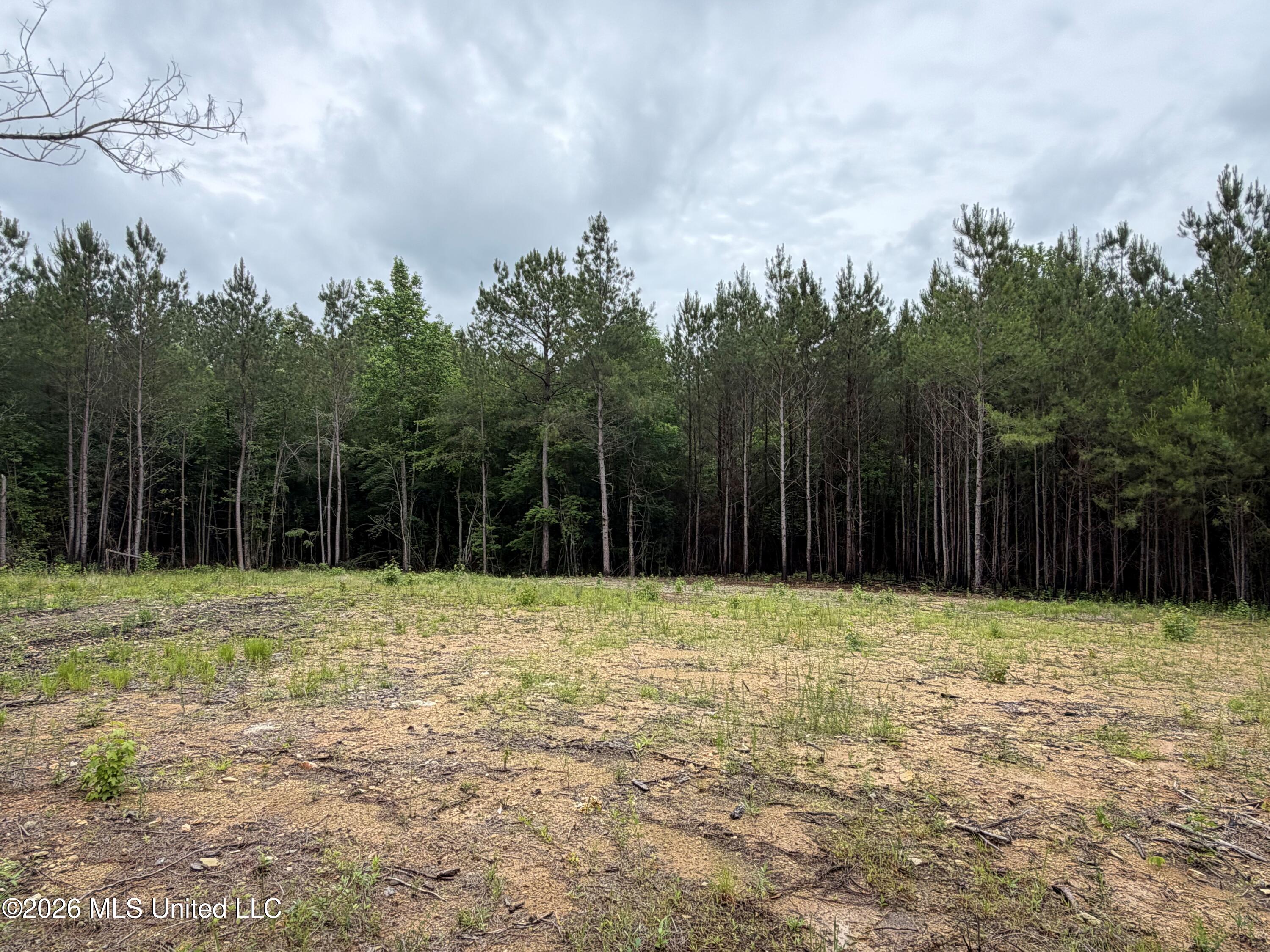 157 Walker Bottom Road Meridian, MS 39301 - Photo 2 of 13 2 (9)