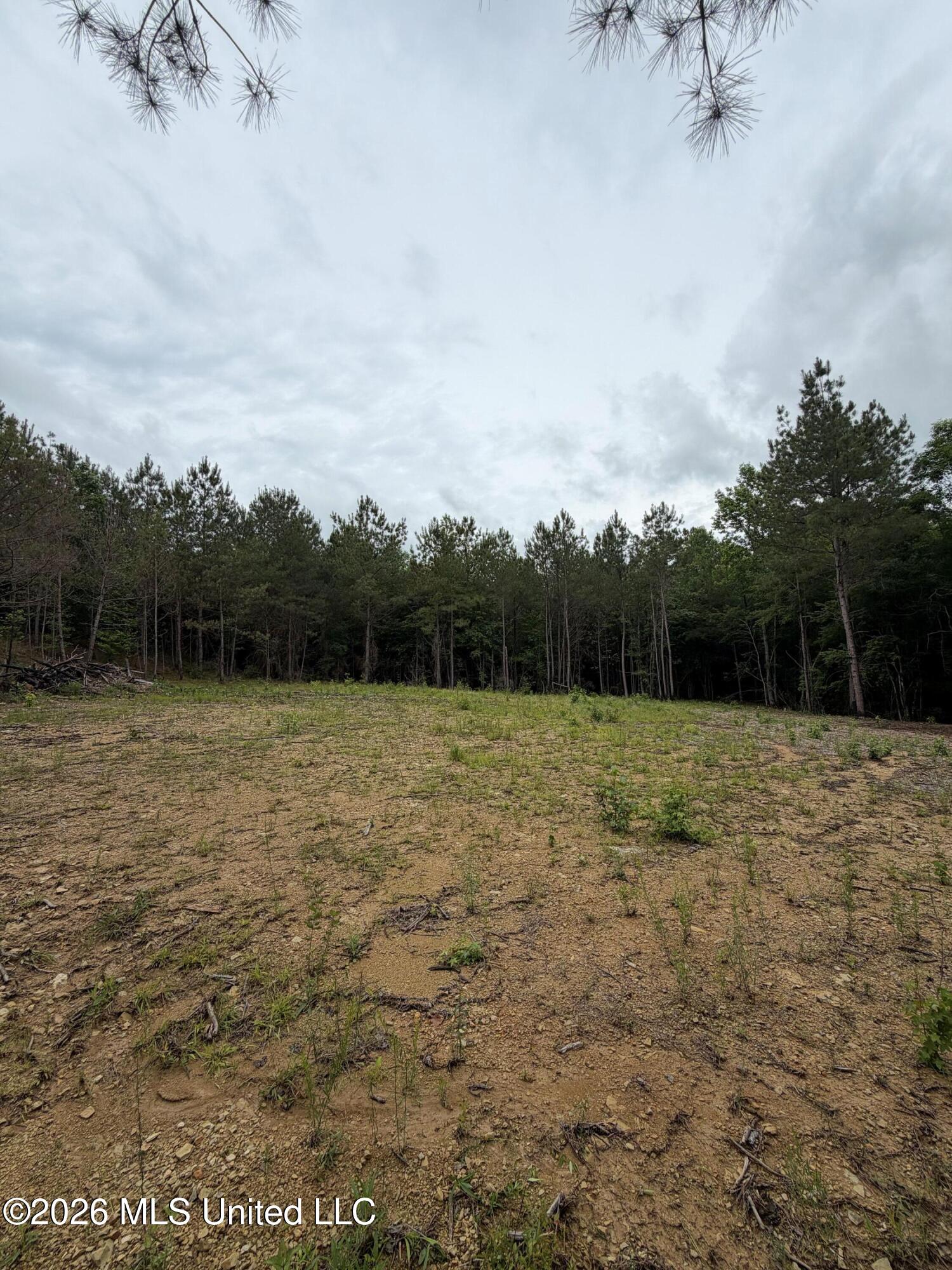 157 Walker Bottom Road Meridian, MS 39301 - Photo 6 of 13 6 (7)