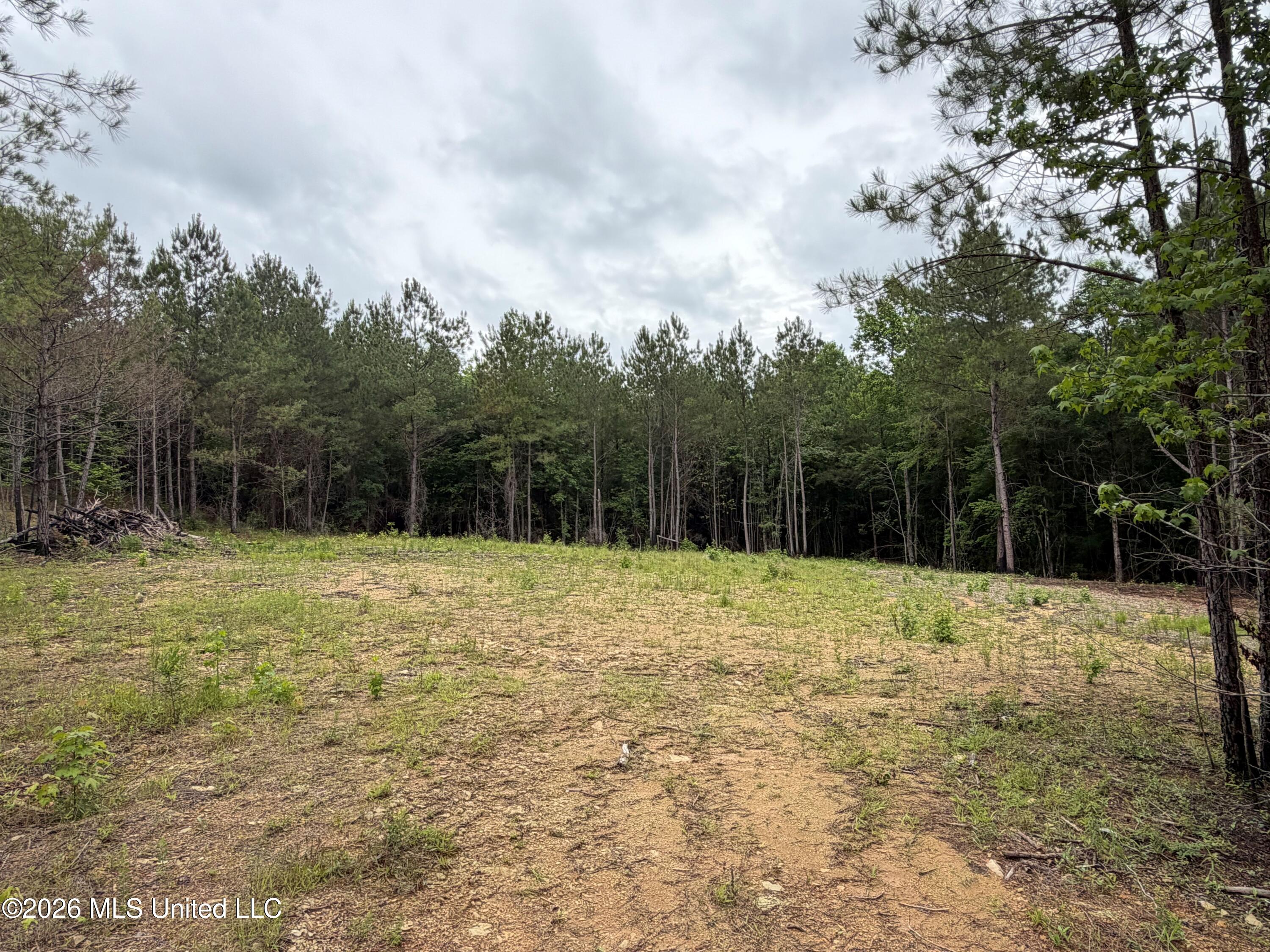 157 Walker Bottom Road Meridian, MS 39301 - Photo 10 of 13 10 (8)