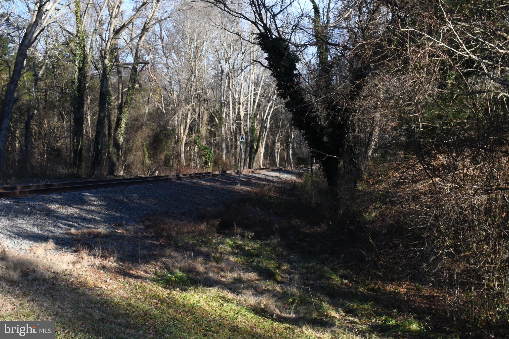 0 Alloway-Woodstown Road Pilesgrove, NJ 08098 - Photo 12 of 17