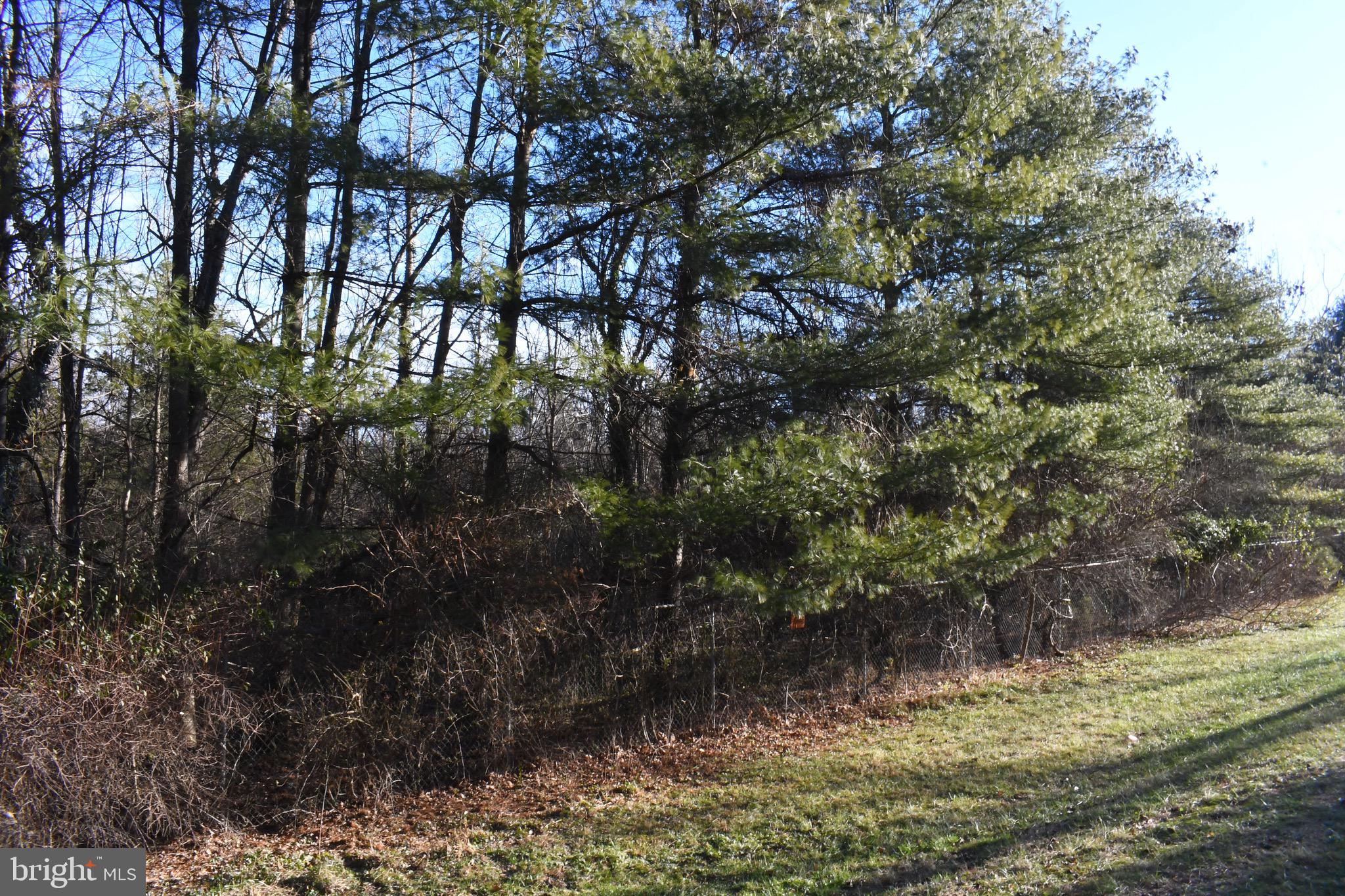 0 Alloway-Woodstown Road Pilesgrove, NJ 08098 - Photo 16 of 17