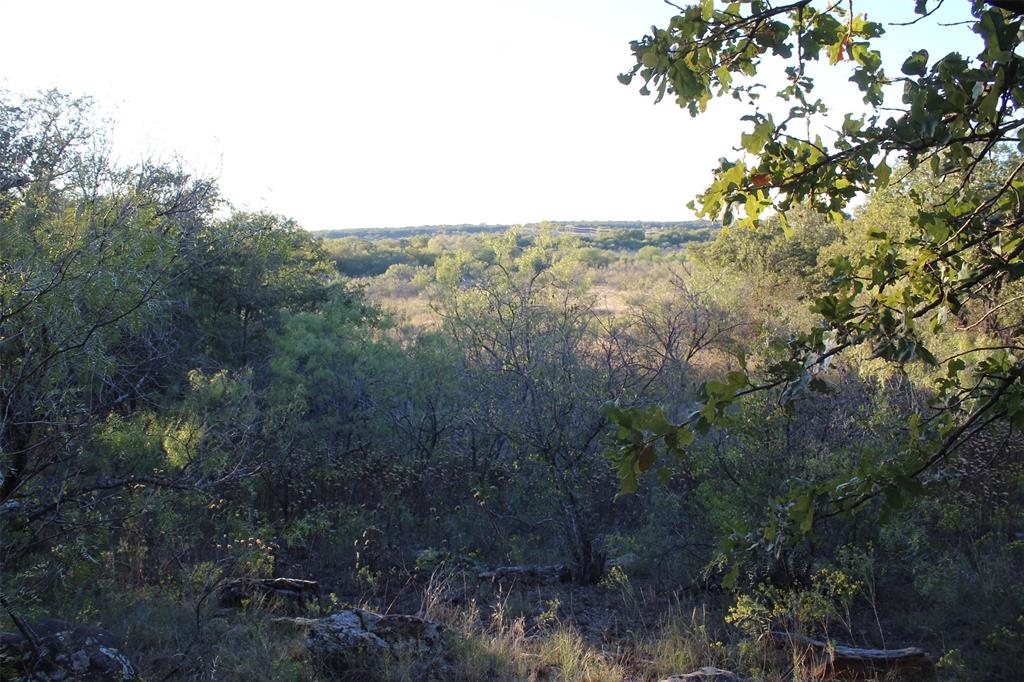 0 Eureka School Road Nocona, TX 76255 - Photo 1 of 14 a view of a forest with a tree in the background