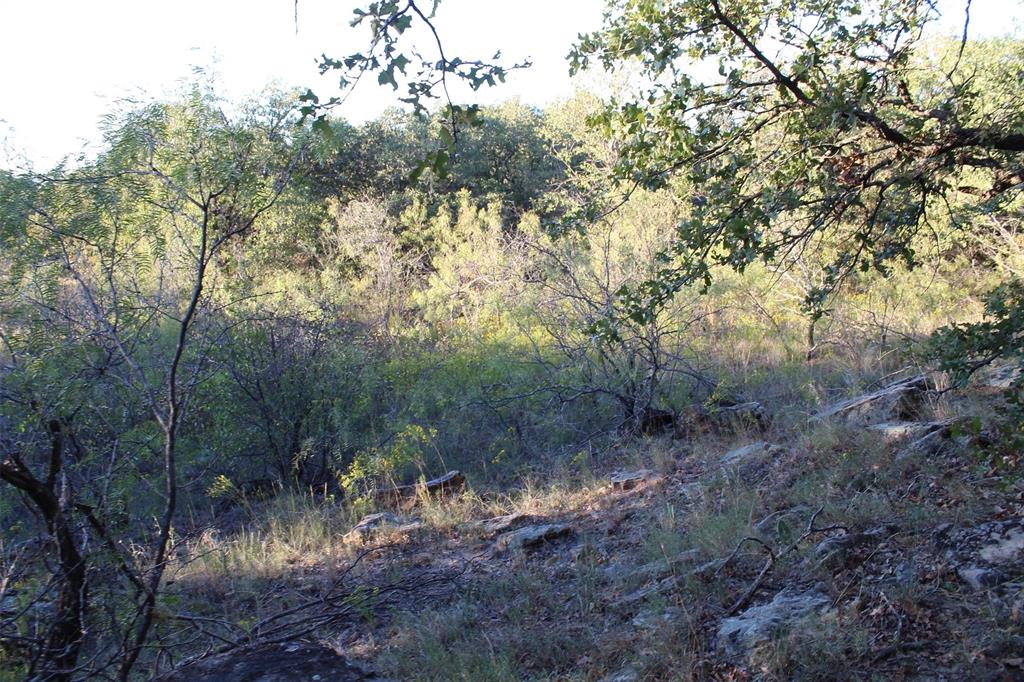0 Eureka School Road Nocona, TX 76255 - Photo 14 of 14 a view of a forest with trees in the background