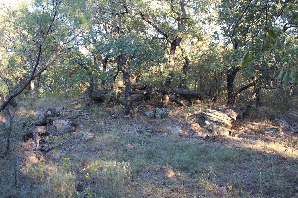 0 Eureka School Road Nocona, TX 76255 - Photo 3 of 14 a backyard of a house with lots of green space