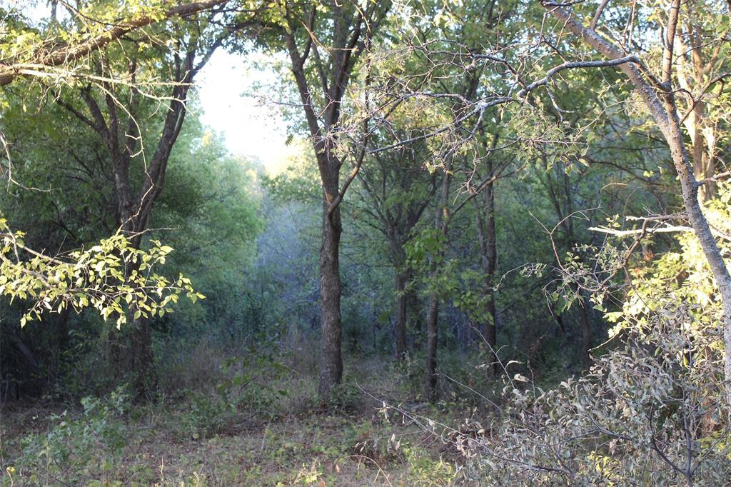 0 Eureka School Road Nocona, TX 76255 - Photo 4 of 14 a view of a garden