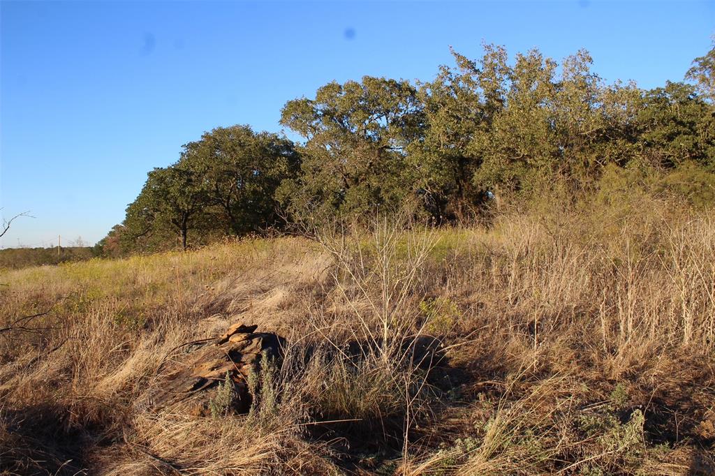 0 Eureka School Road Nocona, TX 76255 - Photo 5 of 14 a view of a tree