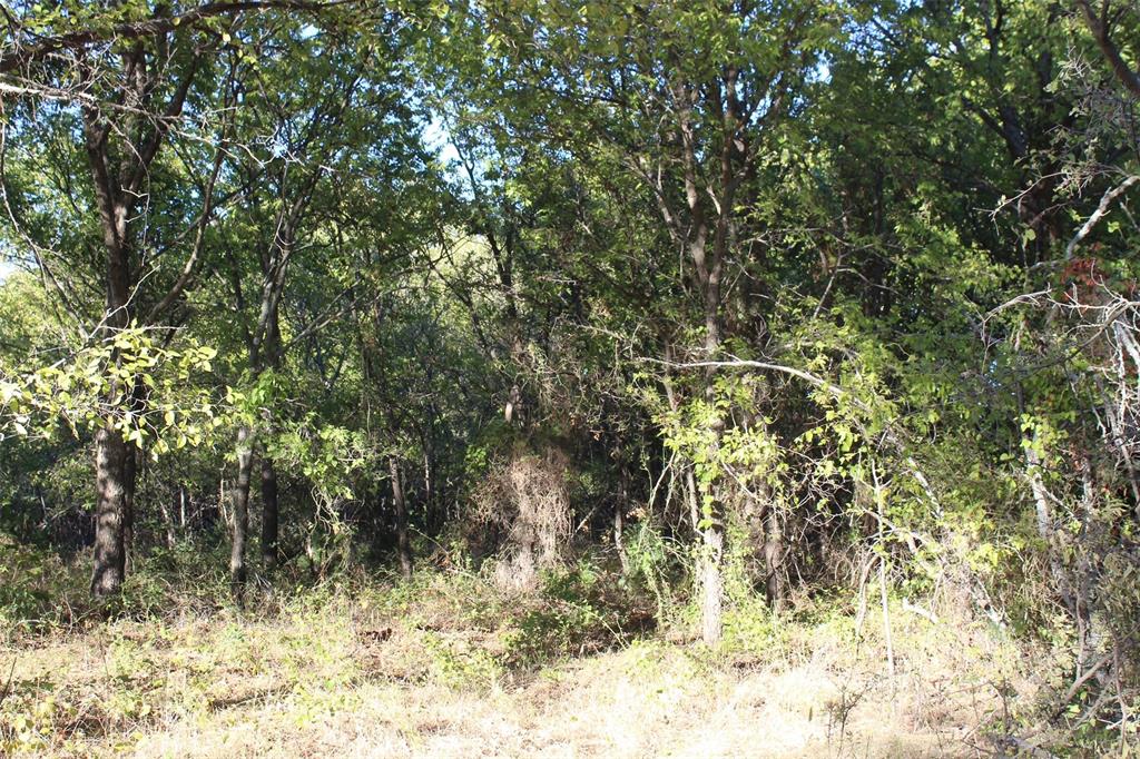 0 Eureka School Road Nocona, TX 76255 - Photo 6 of 14 a view of a yard with large trees