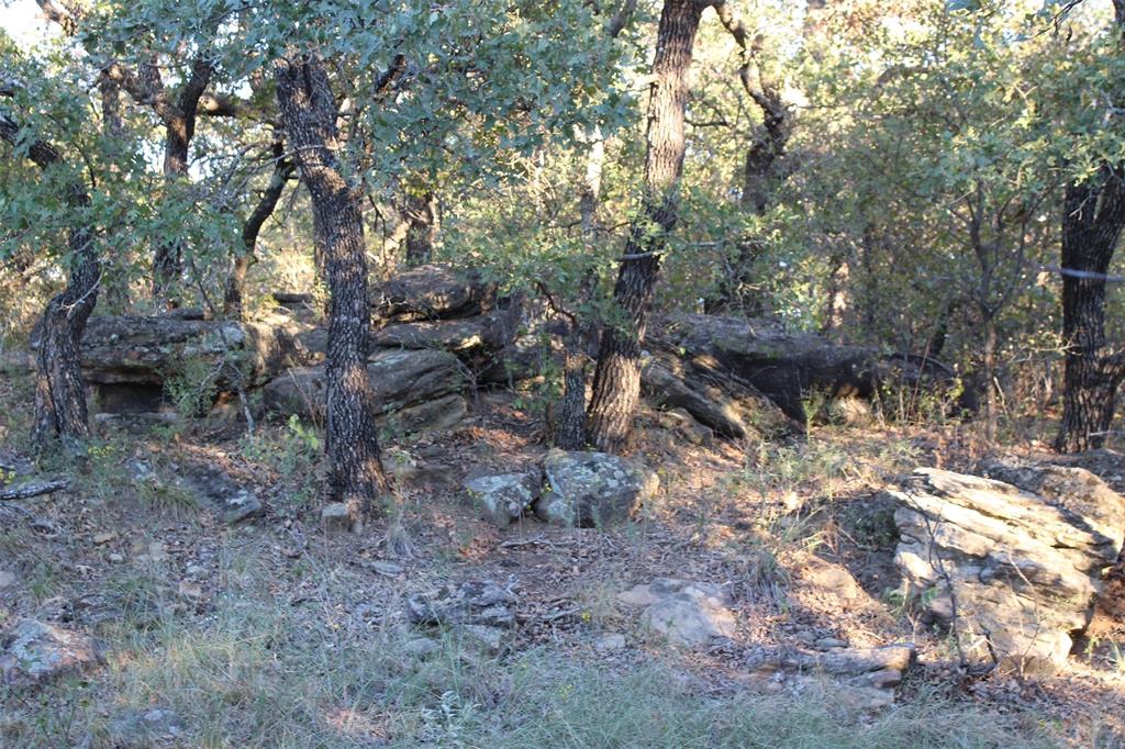 0 Eureka School Road Nocona, TX 76255 - Photo 8 of 14 a view of a forest filled with trees