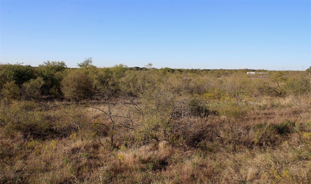 0 Eureka School Road Nocona, TX 76255 - Photo 9 of 14 a view of a dry yard with trees in the background