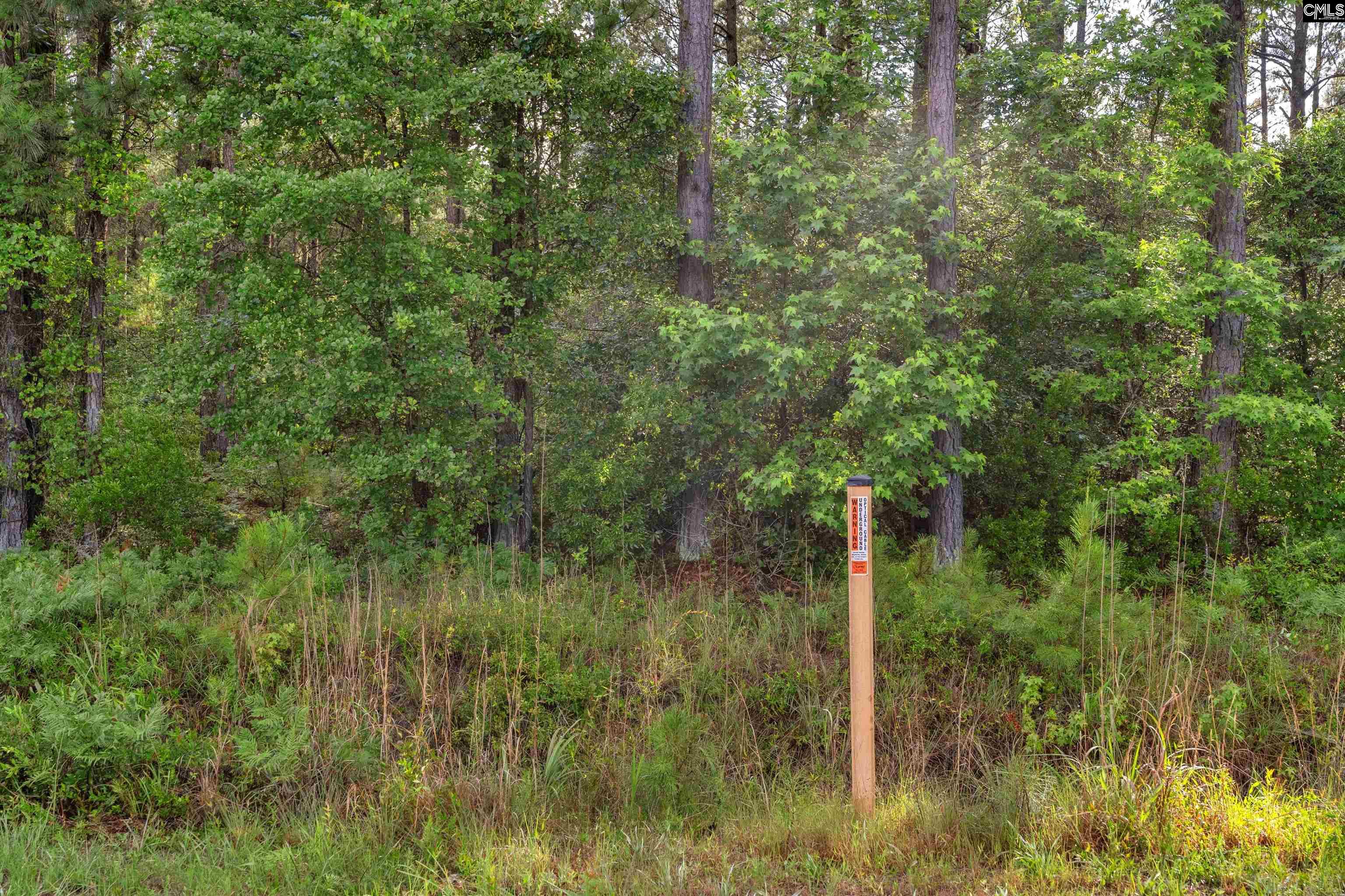 0 North Brewington Road, Unit 10 Manning, SC 29102 - Photo 25 of 29