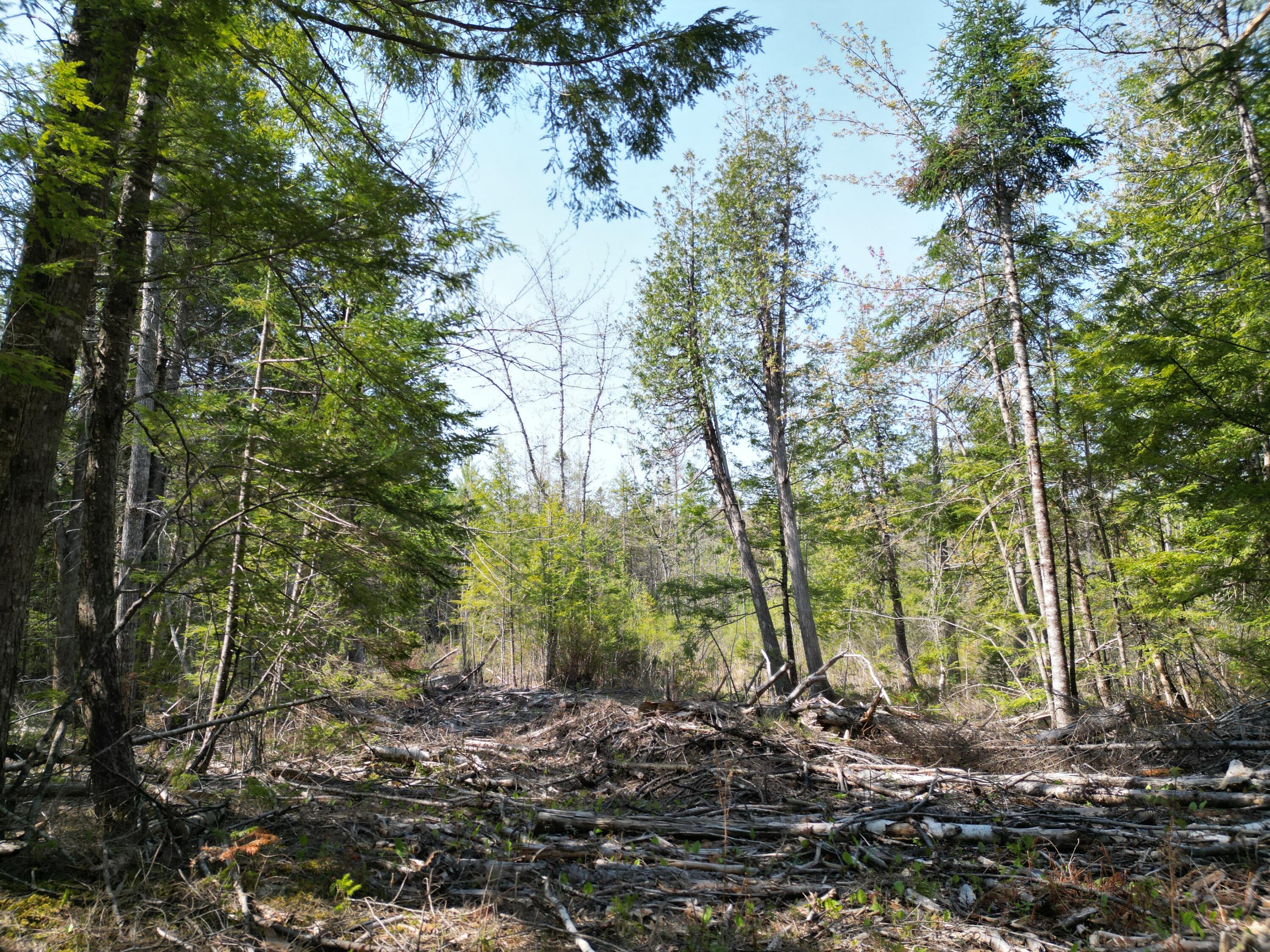 Lot 2 Off Mattamiscontis Road Howland, ME 04448 - Photo 3 of 16 DJI_0526