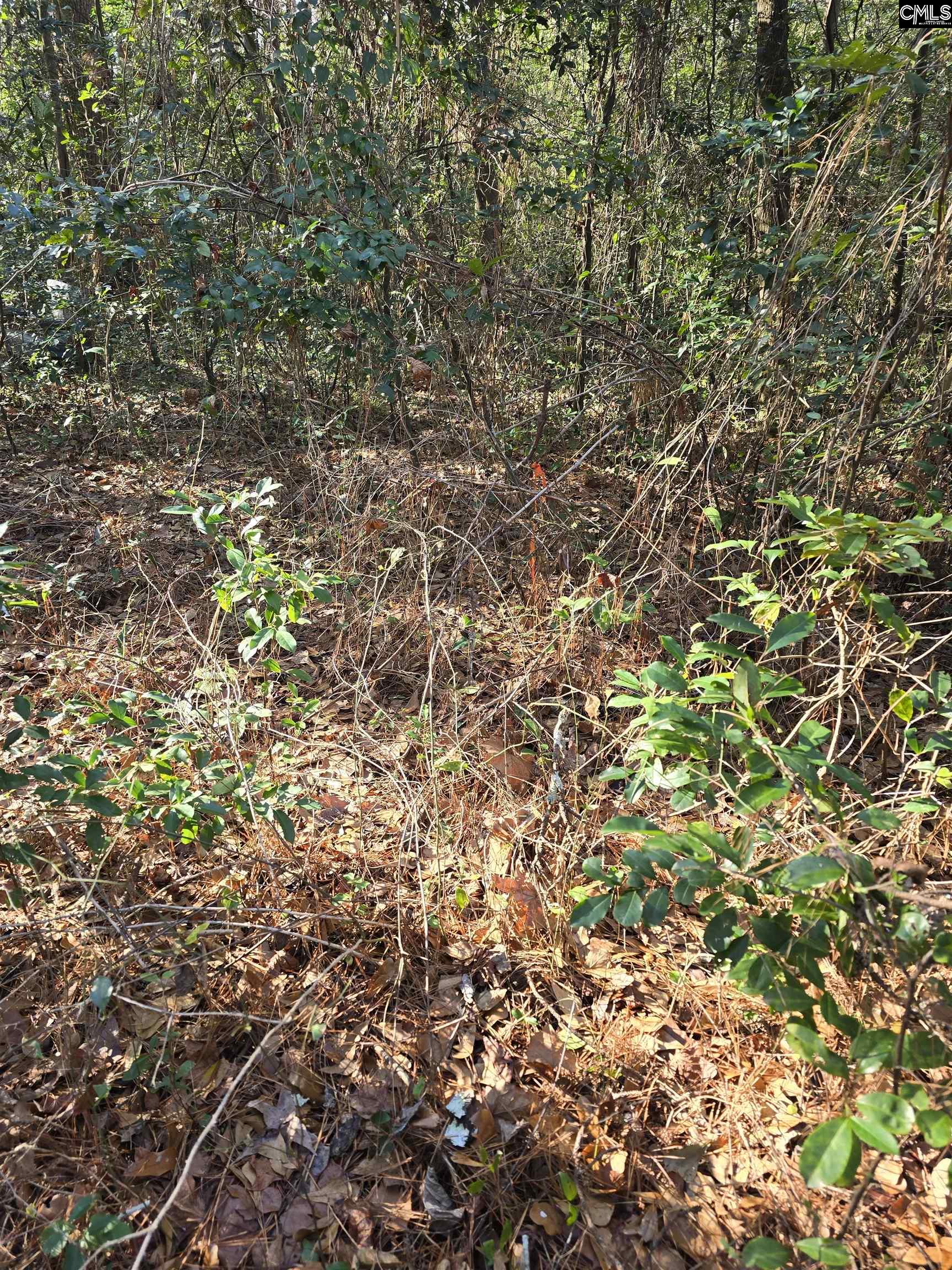 Lot 7-8 Popular Street Cayce, SC 29033 - Photo 4 of 12