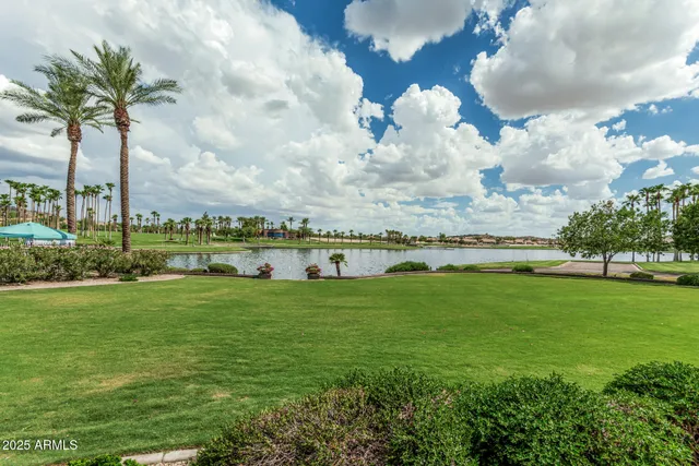 a view of a palm trees and swimming pool with a lake view