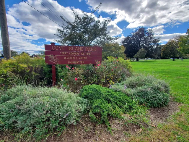 a view of a yard with plants and large trees