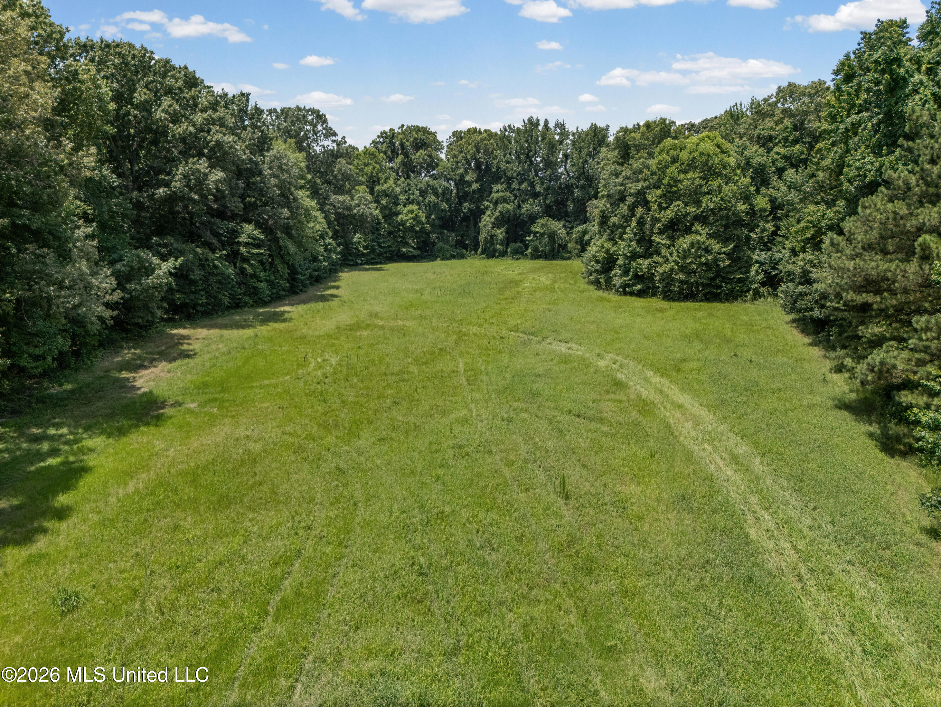 0 Freeman Drive Coldwater, MS 38618 - Photo 4 of 15 dji_20260701124334_0084_d_print