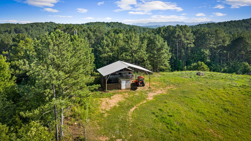 752 Cherokee Trail Copperhill, TN 37317 - Photo 62 of 84 Pole Barn & Pasture