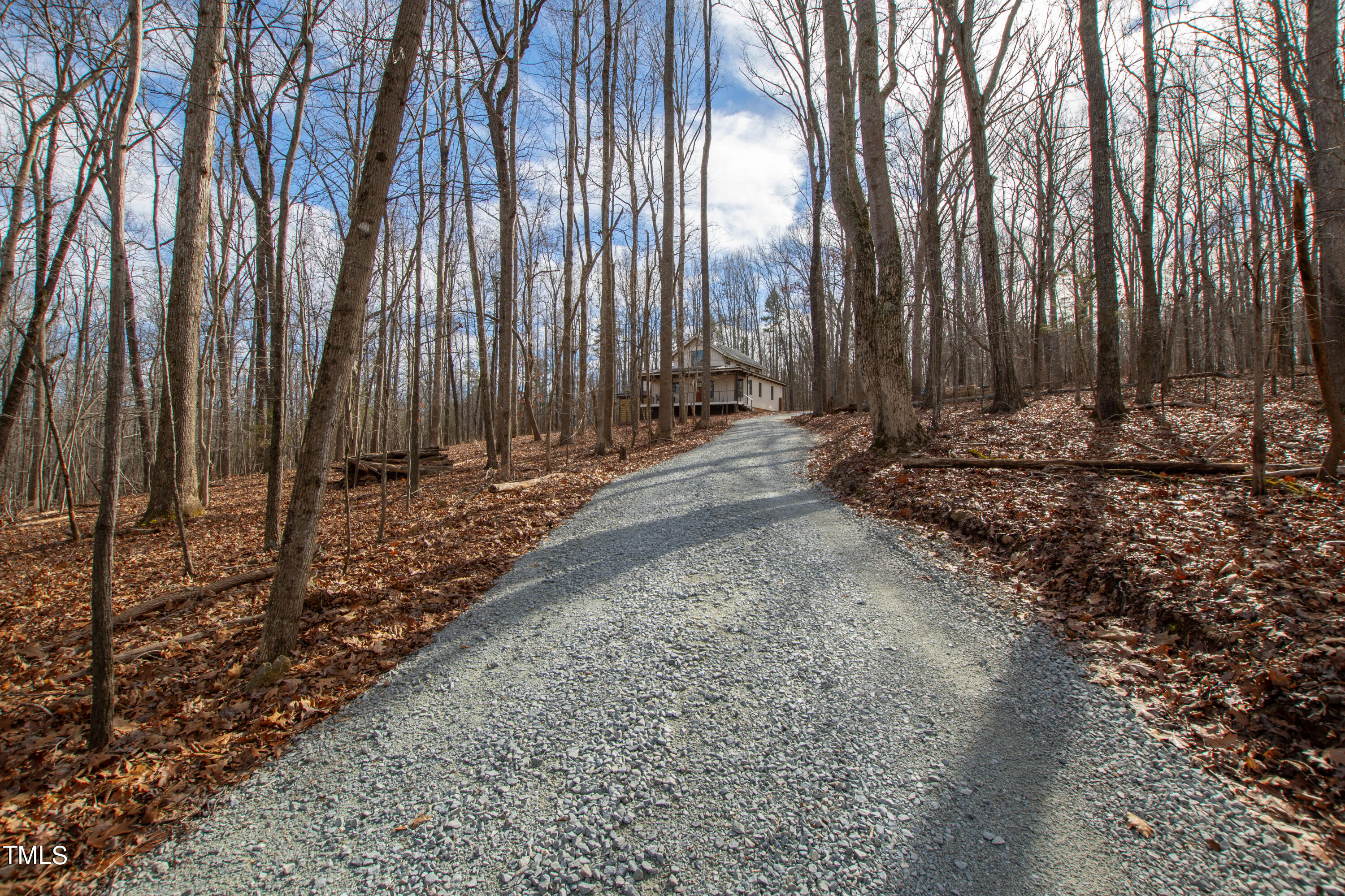 7915 McKee Road Rougemont, NC 27572 - Photo 48 of 48 a view of a yard with trees