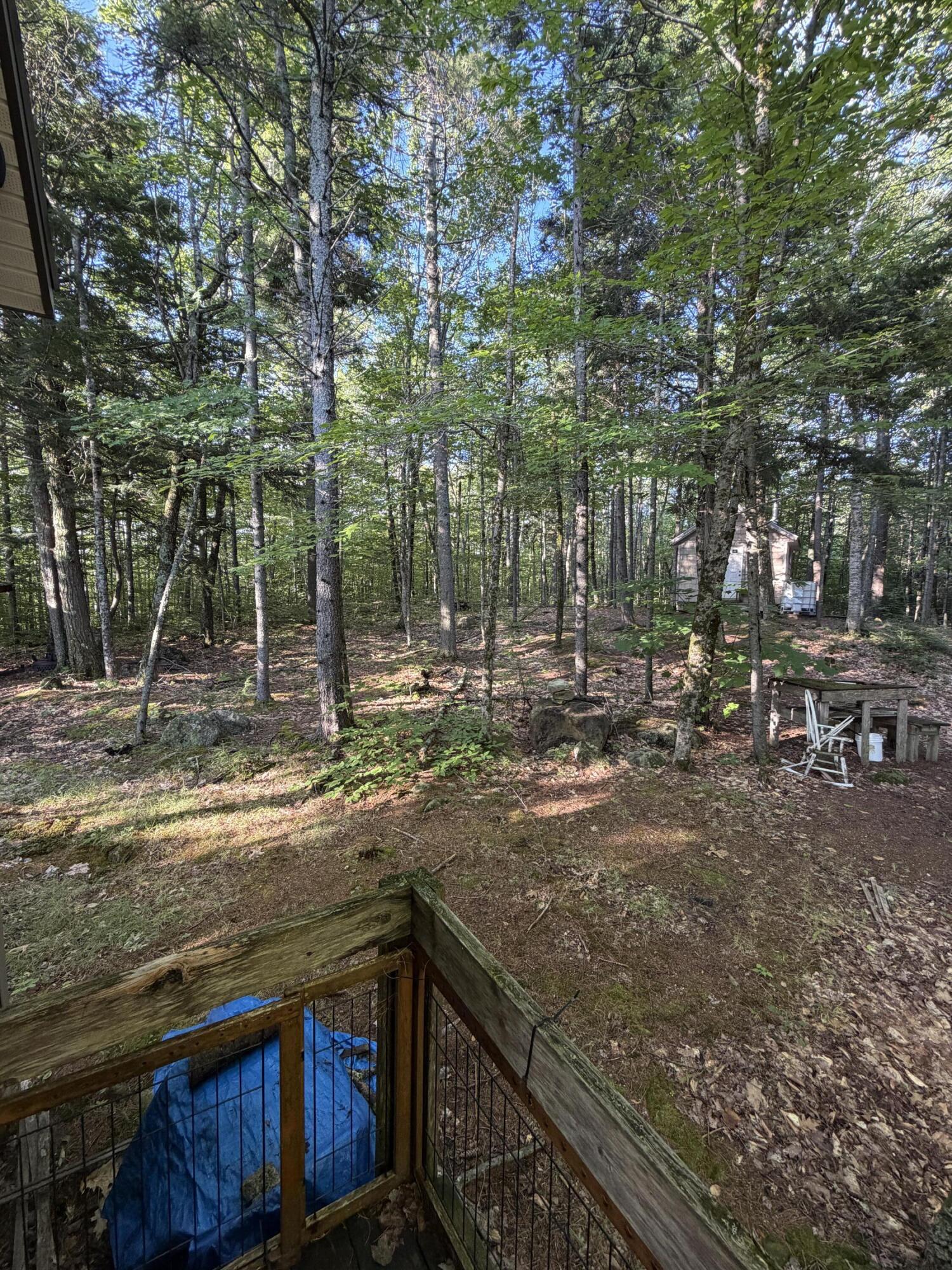 322 Lamb Road Roxbury, ME 04275 - Photo 42 of 42 IMG_0860