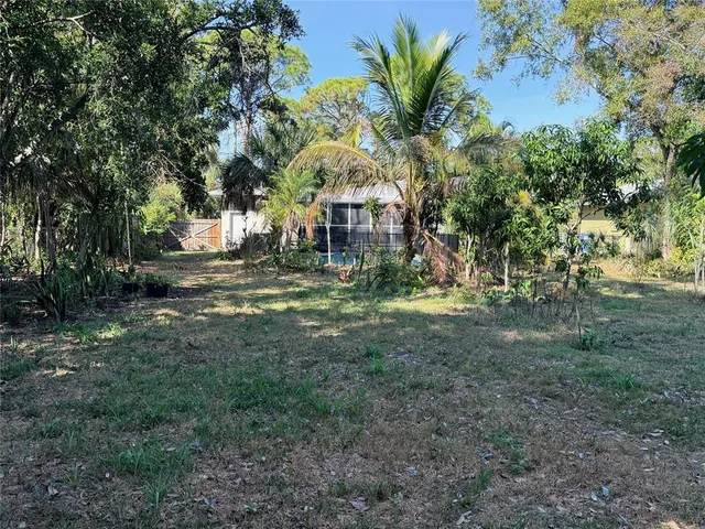 a view of a yard with plants and large trees